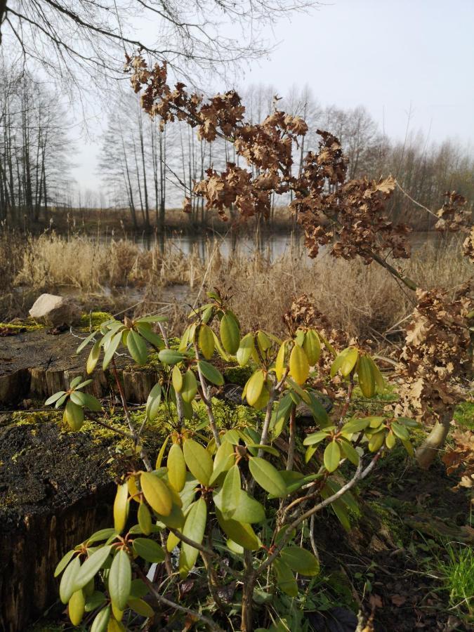 Mazurski Staw Gołdap Exteriér fotografie